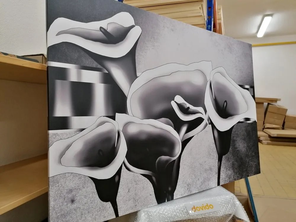 Quadro su tela – Eleganti fiori di calla in bianco e nero