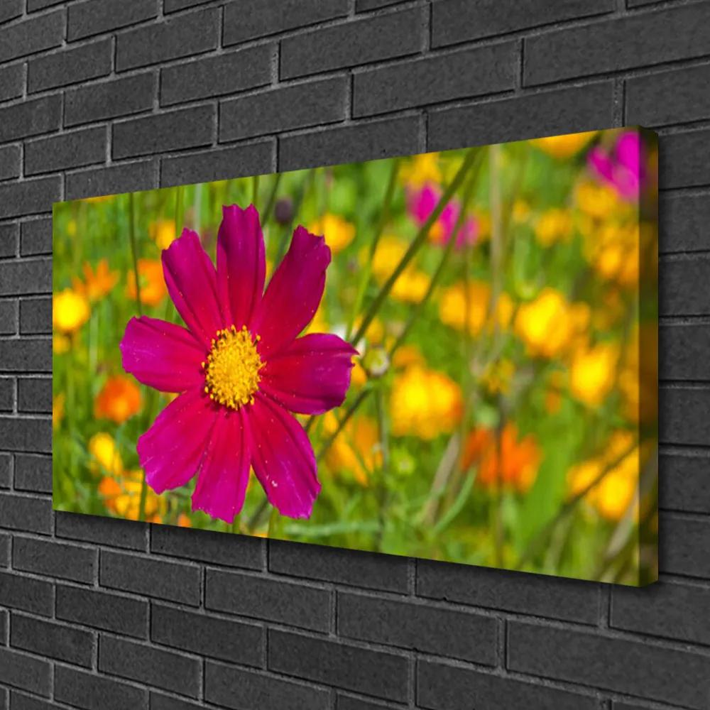 Foto quadro su tela Fiore, pianta, natura 100x50 cm
