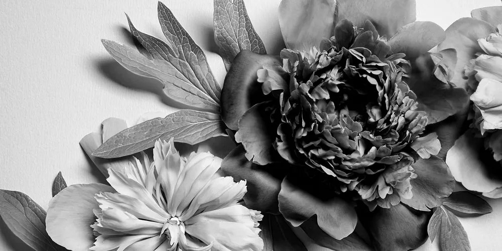 Stampa su tela – Peonie in bianco e nero