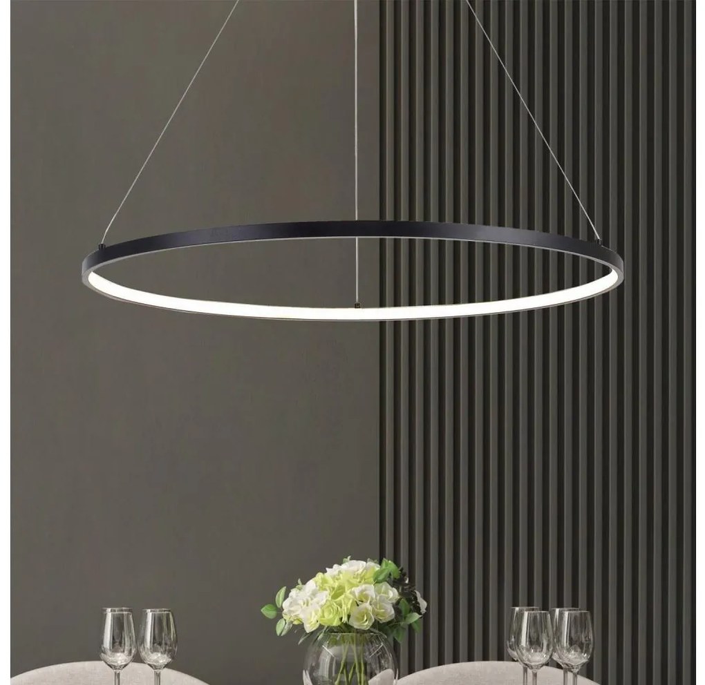 Zuma Line PEN89424-90BK - Lampadario a sospensione LED su cavo HORIK LED/40W/230V 3000/4000/6000K