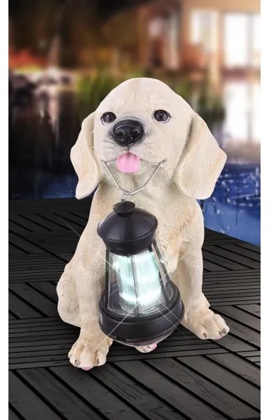 Globo 33271 - Lampada LED solare SOLAR 1xLED/0,06W/3V cane IP44