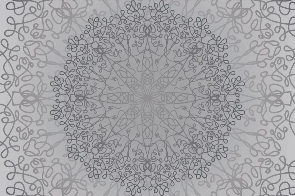 Carta da parati – Ornamento circolare grigio