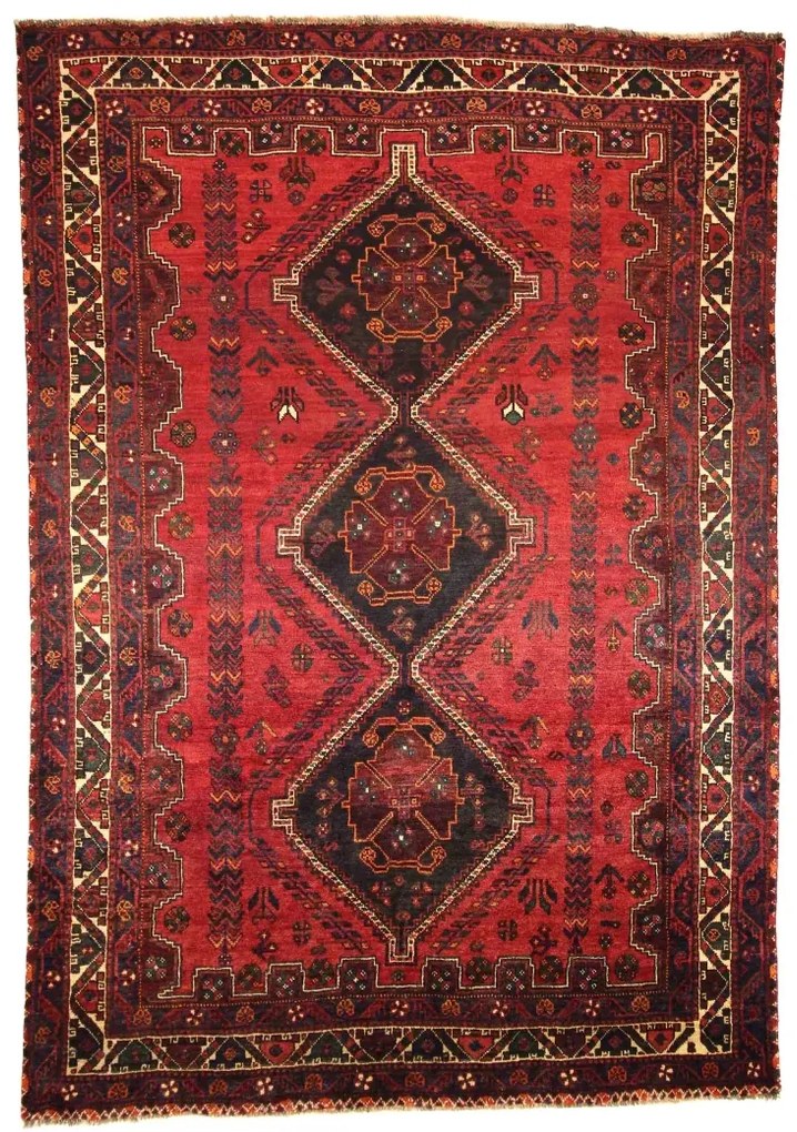 Shiraz Tappeto persiano 220x300 (Iran)