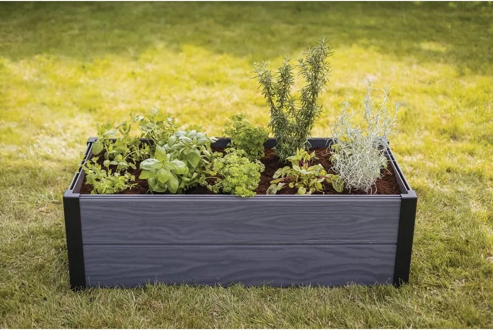 Aiuola rialzata Maple – Keter