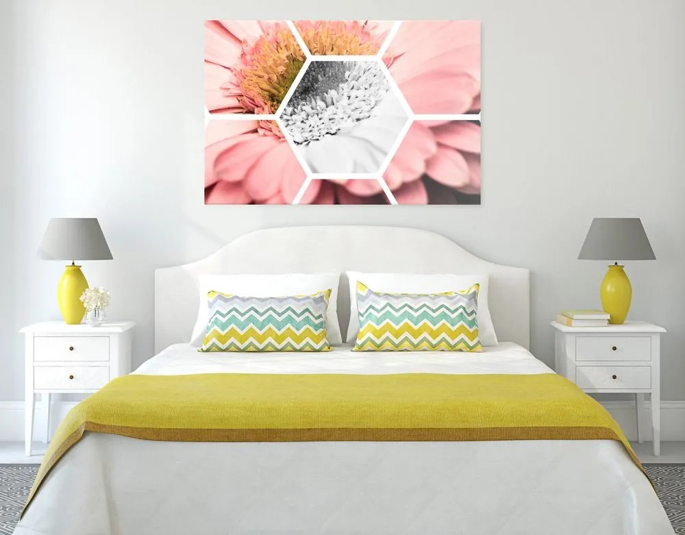 Quadro su tela – Gerbera in esagono