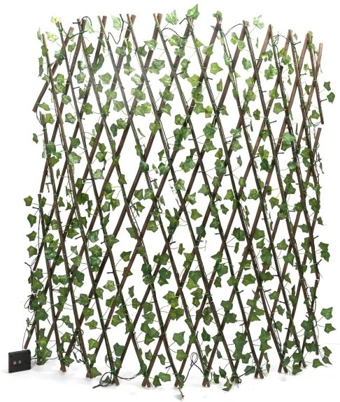 Aigostar - Catena LED solare 148xLED/2x1,2m IP65 bianco caldo ivy