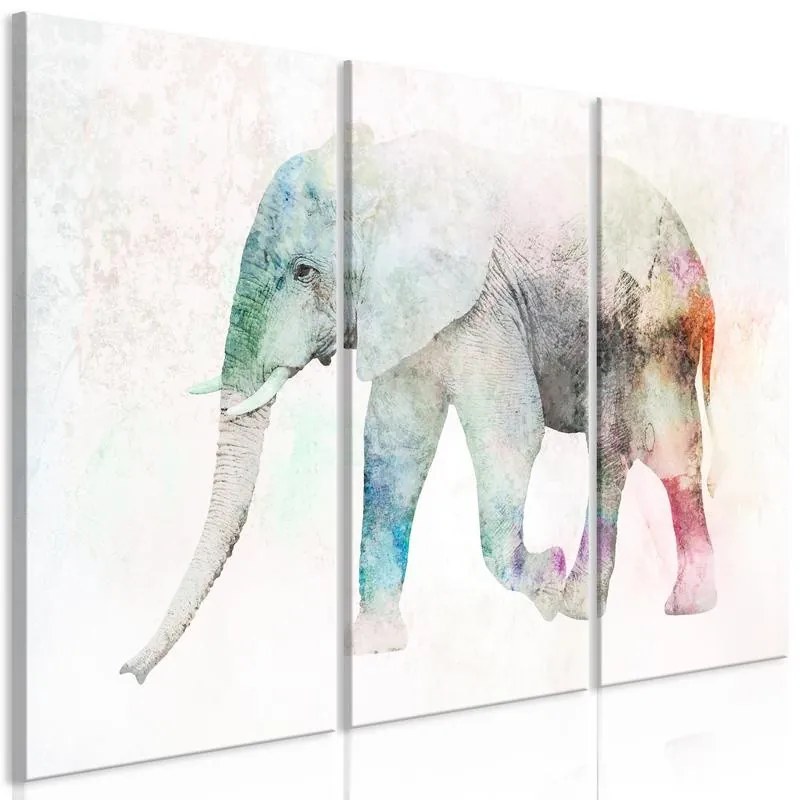 Quadro  Painted Elephant (3 Parts)  Larghezza x Altezza Home decor 120x80