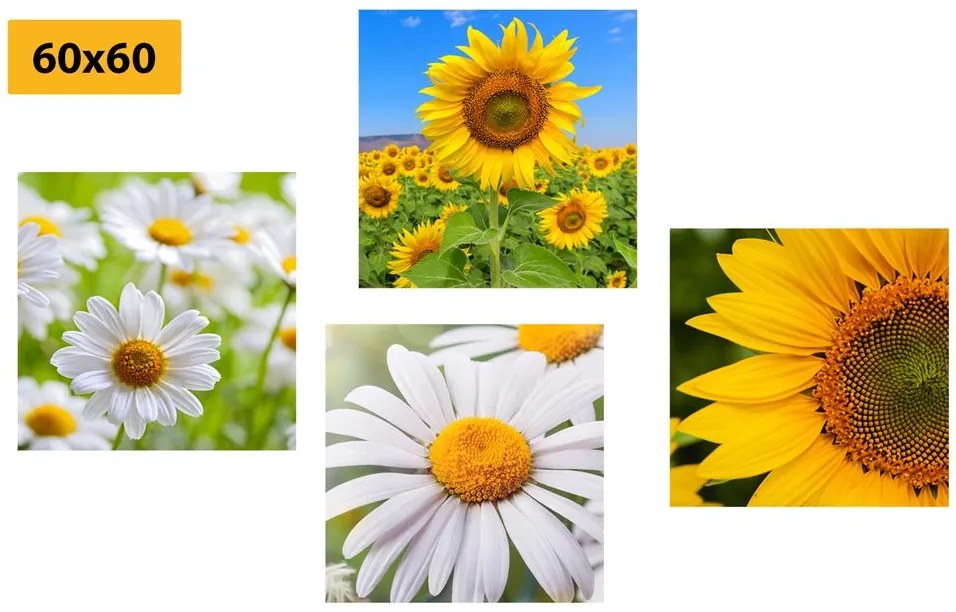 Set di quadri – Splendidi fiori nel prato