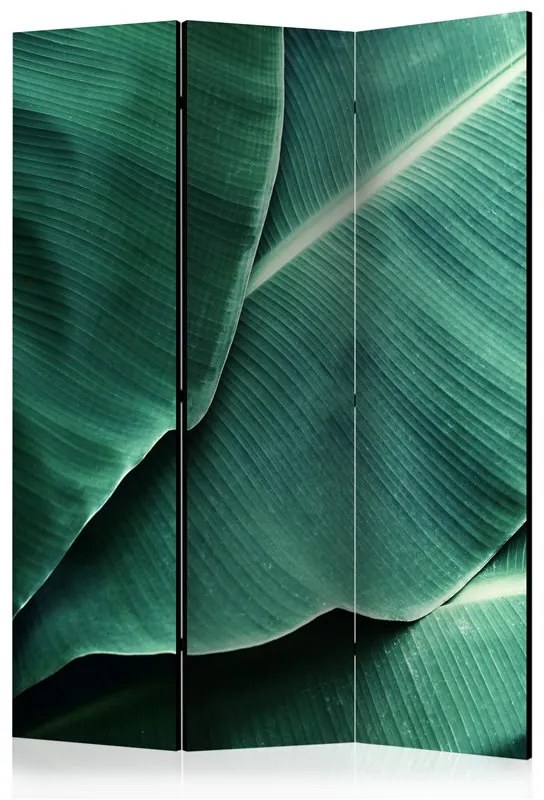 Paravento Banana Leaf [Room Dividers]