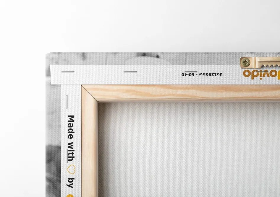 Quadro su tela – Stile romantico vintage in bianco e nero
