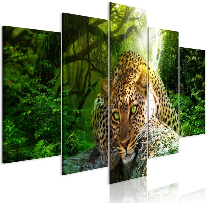 Quadro  Leopard Lying (5 Parts) Wide Green  Colore Grigio, Dimensioni e Misure 100x50