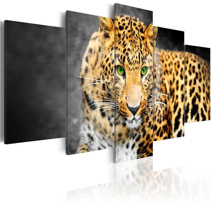 Quadro Leopardo con occhi verdi  Colore Grigio, Dimensioni e Misure 100x50