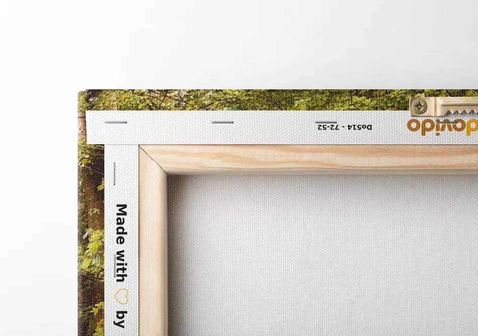 Quadro su tela – Foresta verde