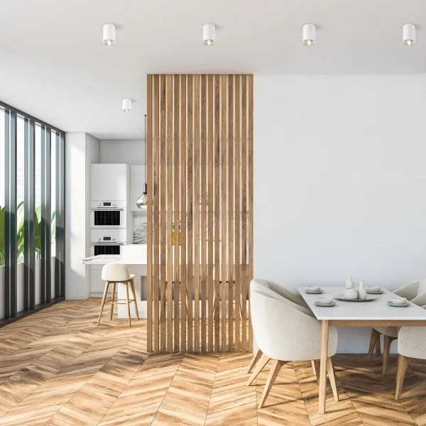 Zuma Line 45519-N - Faretto RONDOO 1xGU10/50W/230V bianco