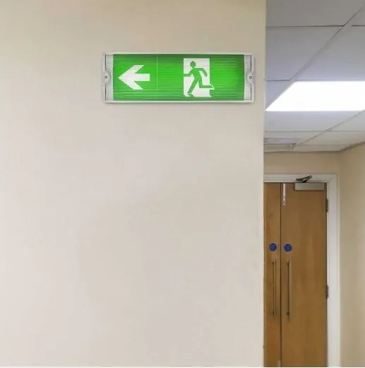 Luce di emergenza a LED EMERGENCY EXIT LED/3W/230V 6400K IP65