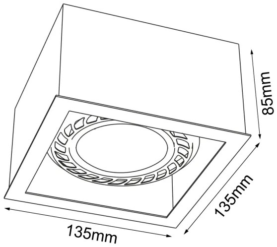 Brosline 1272 - Faretto CAGE 1xGU10/18W/230V bianco