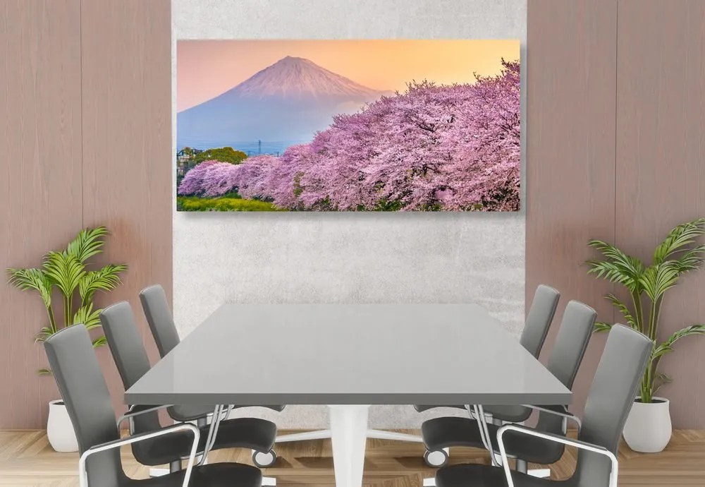 Quadro su tela – Meraviglioso Giappone