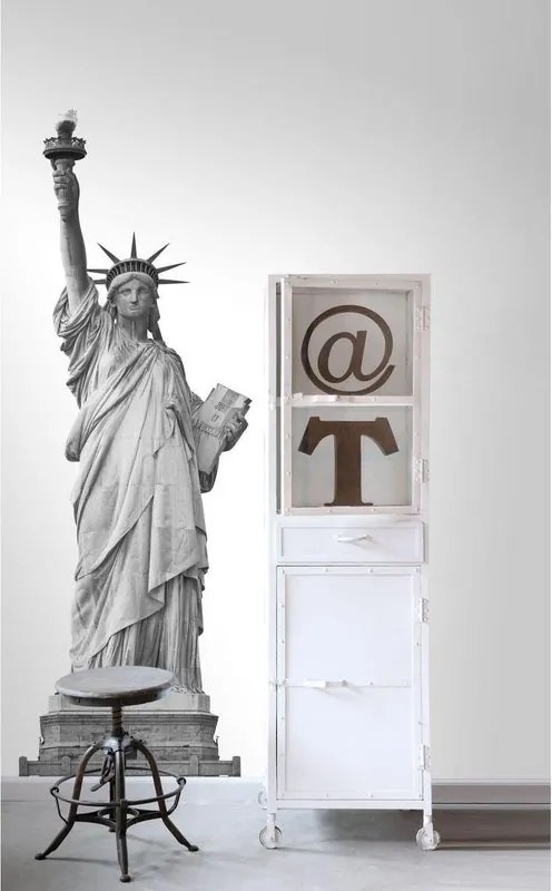 Fotomurale ESTA Statua, grigio e argento 93X280 cm