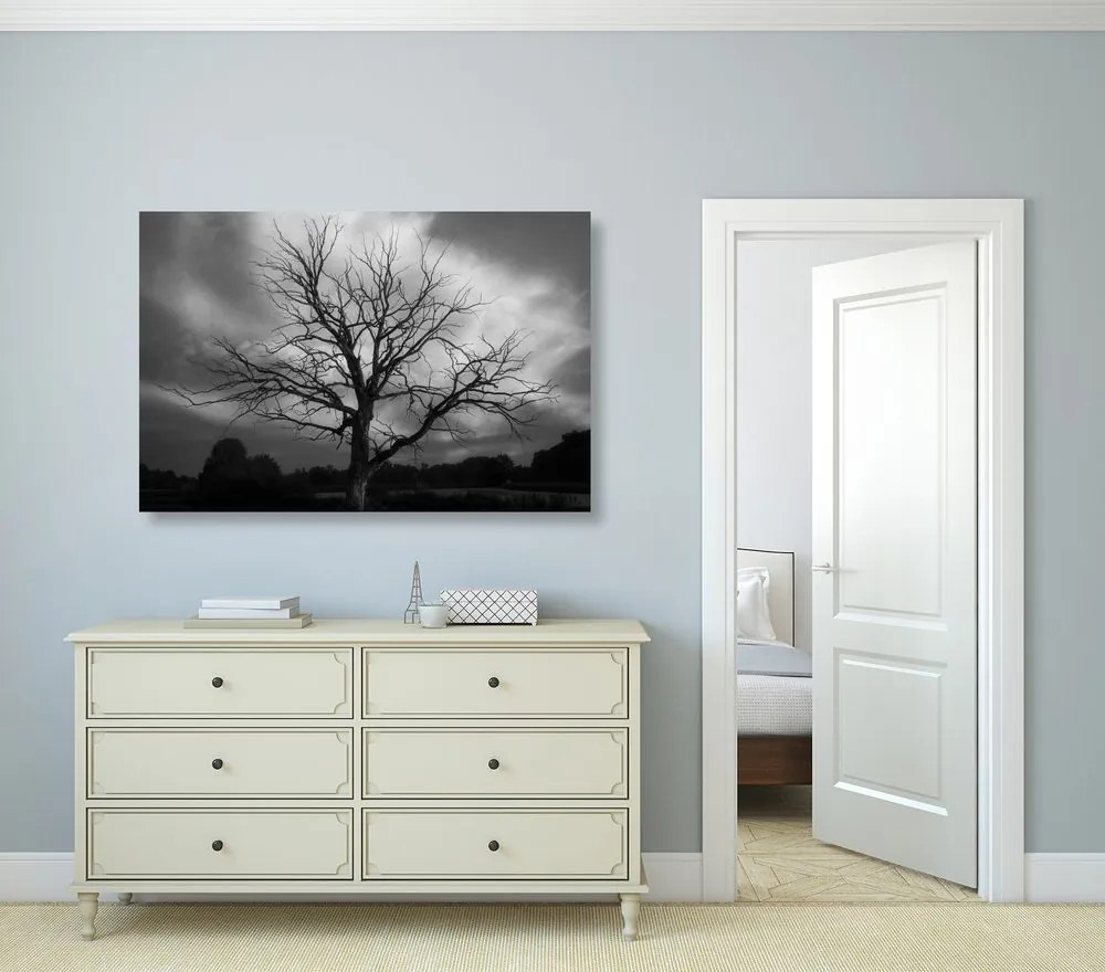 Quadro su tela – Albero sul prato in bianco e nero