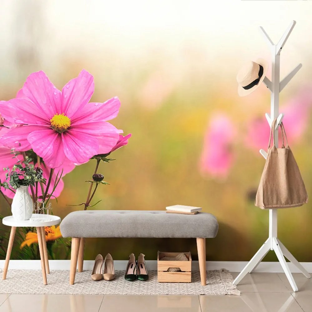 Carta da parati autoadesiva – Fiore rosa sbocciato