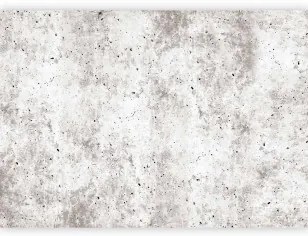 Fotomurale Urban Style: Concrete Lavabile 250x175