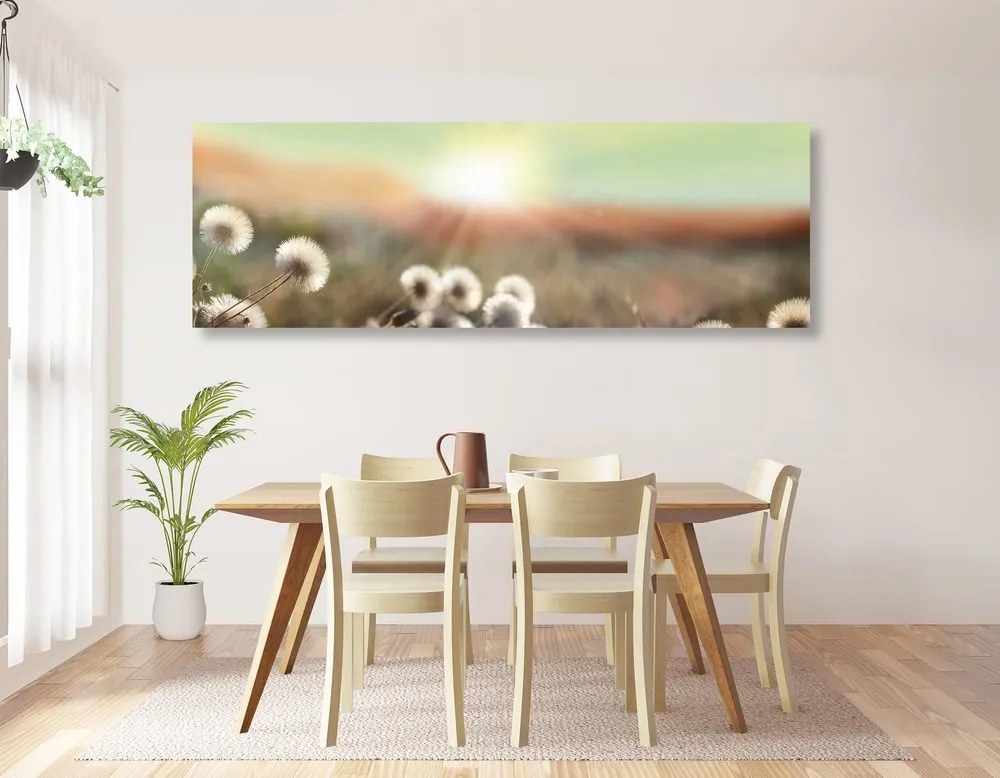 Quadro su tela – Panorama di prato fiorito