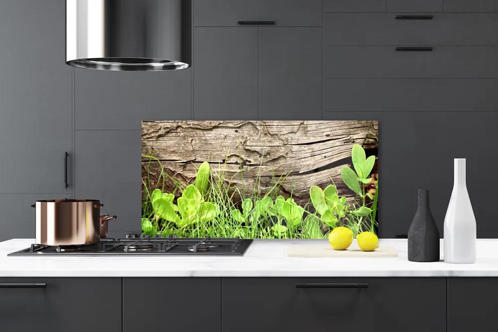 Pannello rivestimento parete cucina Fiori di foglie di erba 100x50 cm