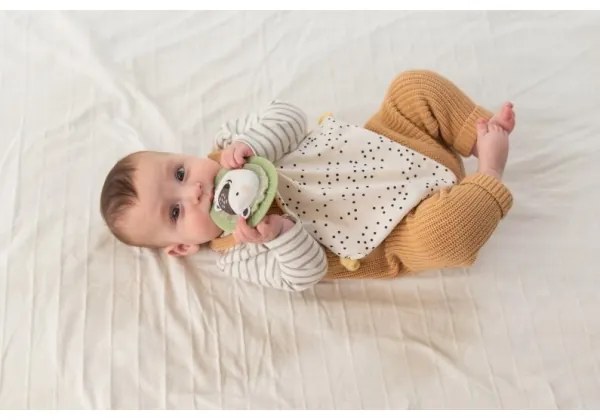 Taf Toys - Confezione regalo HELLO BABY