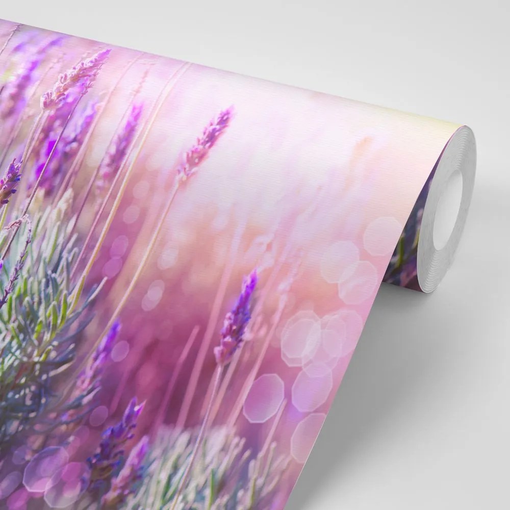 Carta da parati autoadesiva – Fiori magici di lavanda