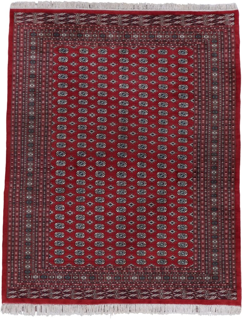 Bokhara Tappeto orientale 320x250 (Pakistan) Annodato A Mano