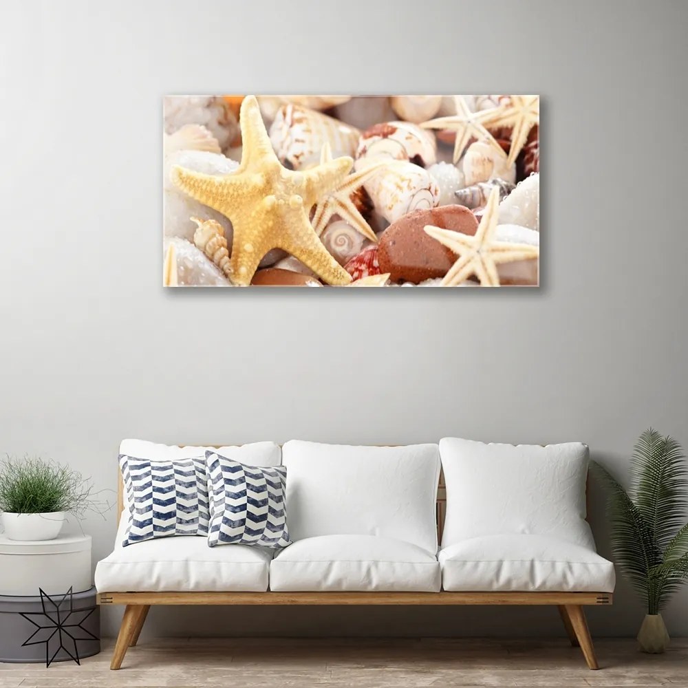 Quadro vetro Conchiglie di stelle marine sulla spiaggia 100x50 cm