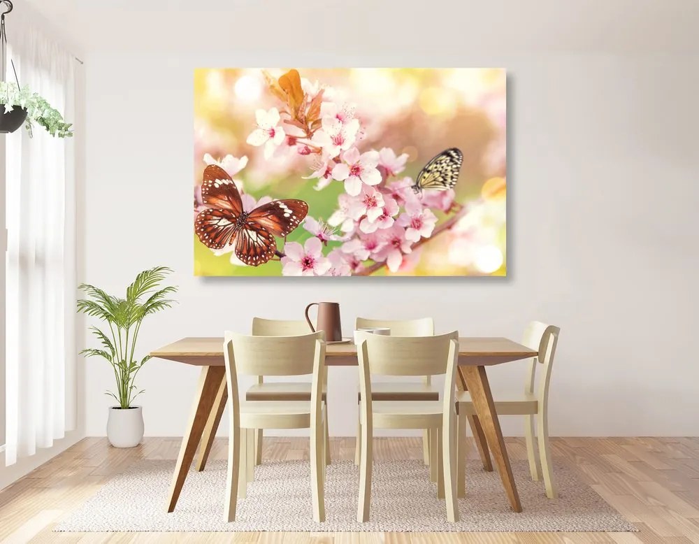 Quadro su tela – Fiori primaverili con farfalle esotiche
