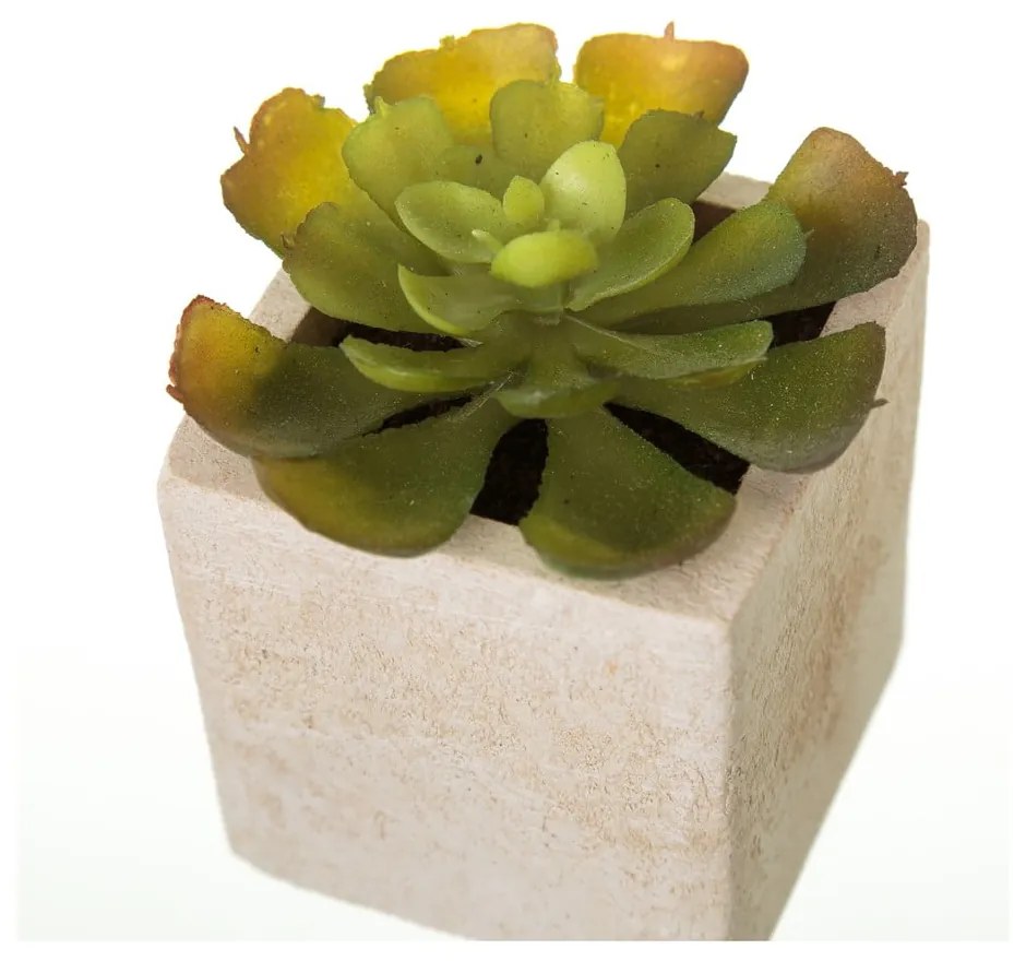 Piante artificiali in set da 6 (altezza 9,5 cm) Cactus - Casa Selección