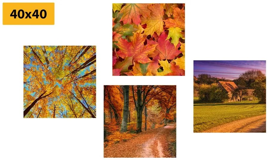 Set di quadri – Natura in colori autunnali