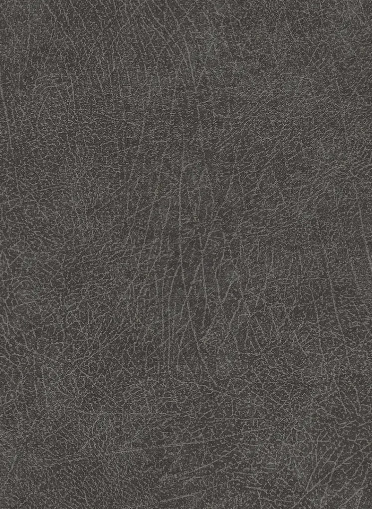 Elefantenhaut Tapete Skin 5 von Eijffinger - Schwarz