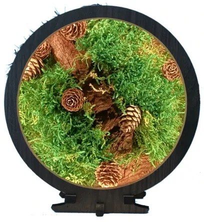 Li-Go 23654 - Decorazione da tavolo dimmerabile LED/12W/230V 20x22 cm muschio