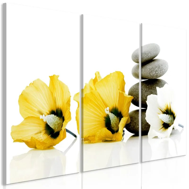 Quadro Calm Mallow (3 Parts) Yellow  Colore Bianco, Dimensioni e Misure 120x80