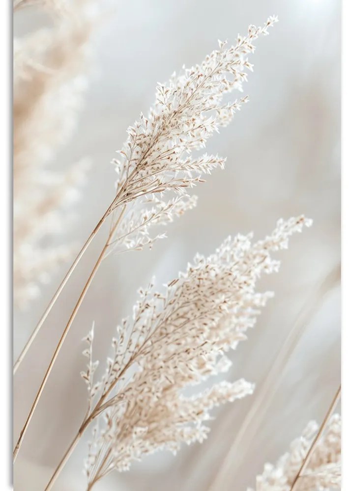 Quadro su tela – Canna beige