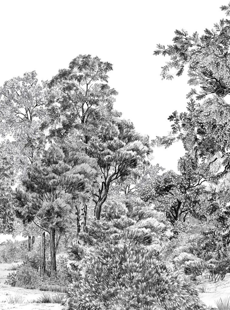 Isidore Leroy Carta da parati panoramica Domaniale - Panel C