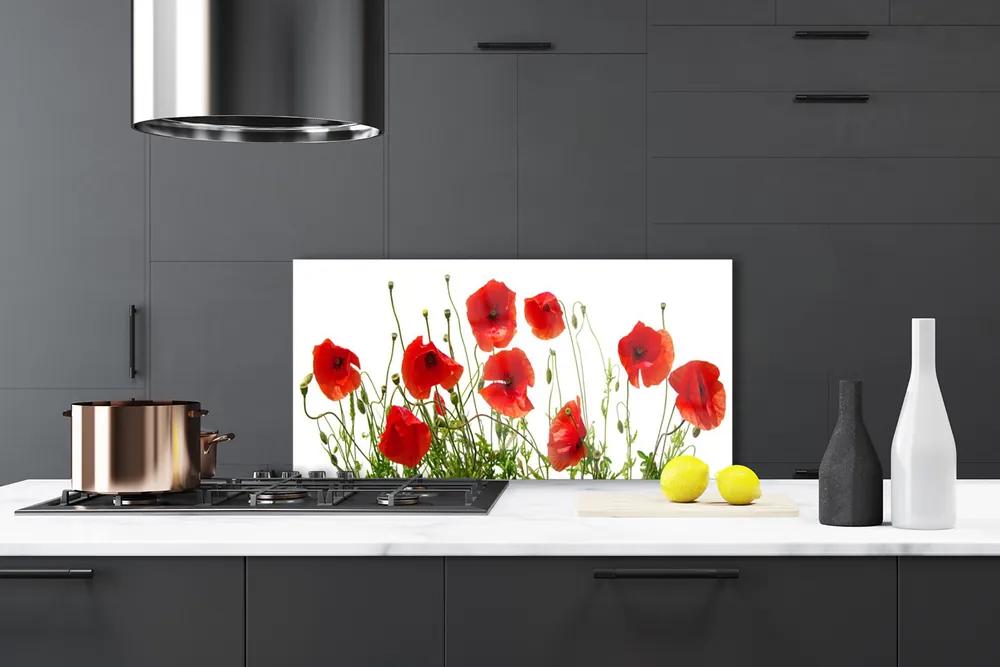 Pannello paraschizzi cucina Papaveri, fiori, natura 100x50 cm