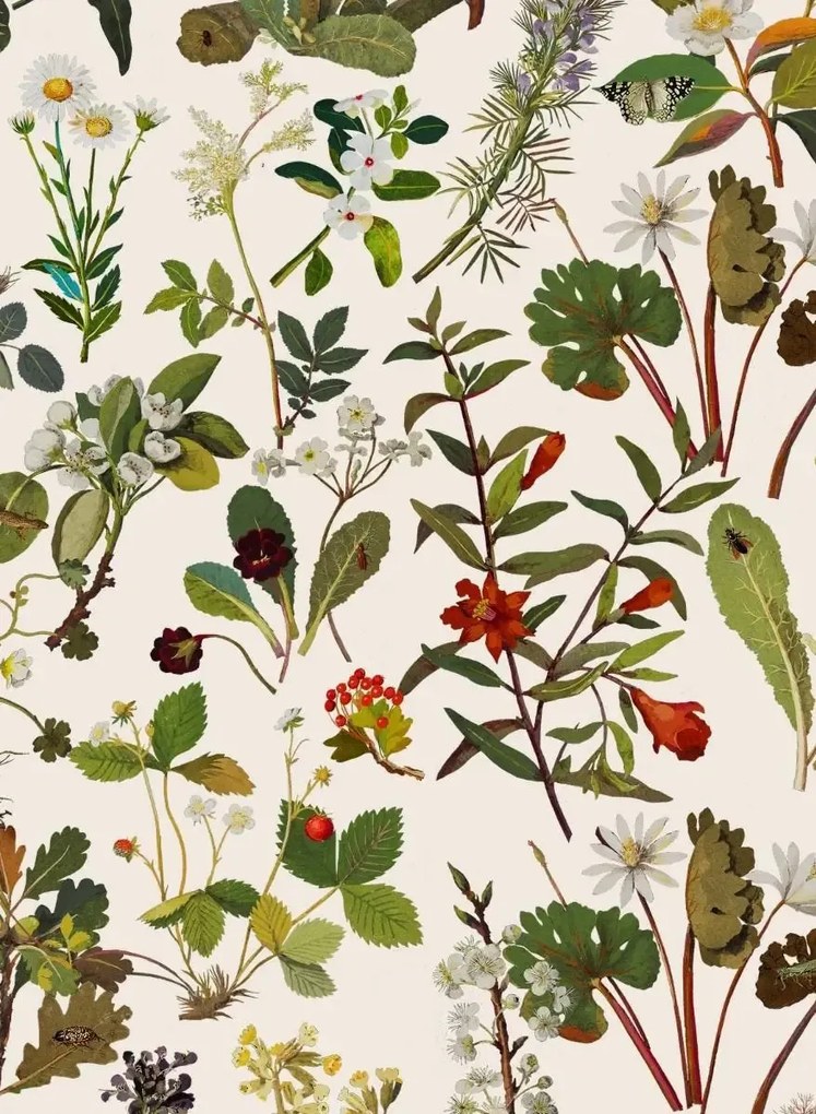 House of Hackney Tapete Herbarium - Ecru