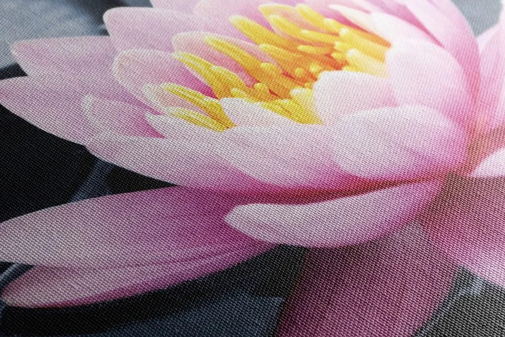 Quadro su tela – Fiore di loto nel lago