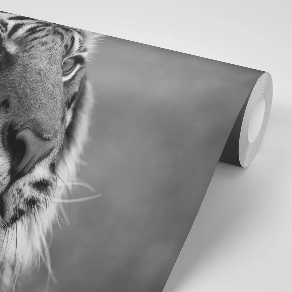 Carta da parati – Tigre del Bengala in bianco e nero