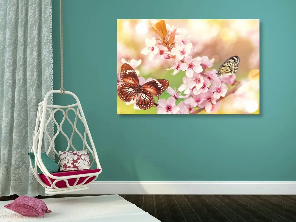 Quadro su tela – Fiori primaverili con farfalle esotiche