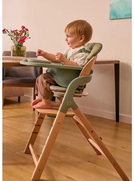 Lionelo - Seggiolina da pappa 3 in 1 MEGAN Legno Verde