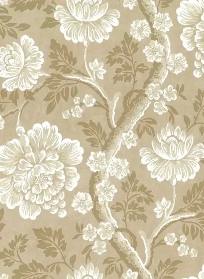 Little Greene Tapete Gustav - Mudan
