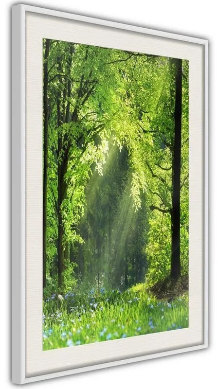 Poster  Forest Path  Cornice Quadri Cornice d'oro con passe-partout, Larghezza x Altezza Home decor 30x45