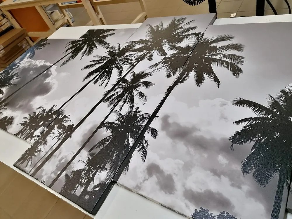 Quadri 5 pezzi – Palme da cocco sulla spiaggia in bianco e nero
