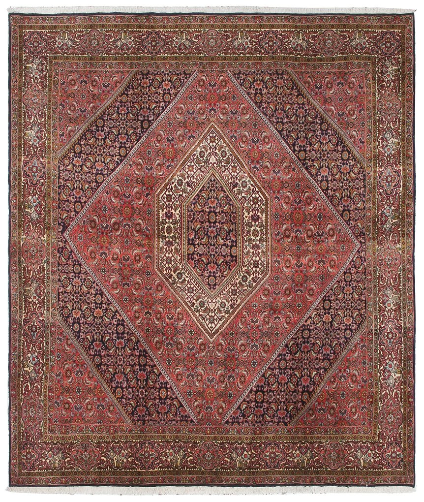 Bidjar Tappeto persiano 240 x 210 (Iran) Annodato A Mano
