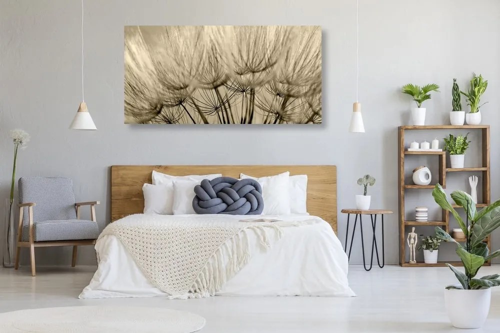 Quadro su tela – Semi di soffione in versione seppia